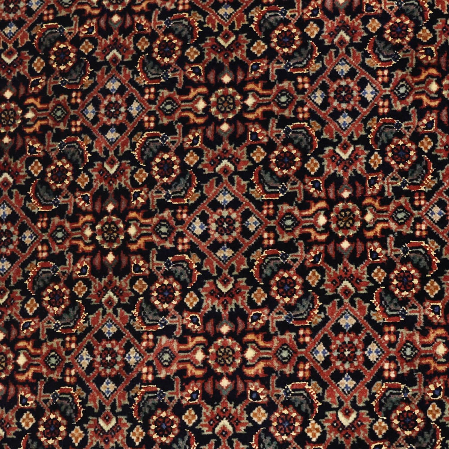 Perserteppich - Bidjar - Royal - 150 x 91 cm - dunkelbeige