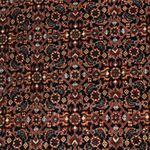 Perserteppich - Bidjar - Royal - 150 x 91 cm - dunkelbeige