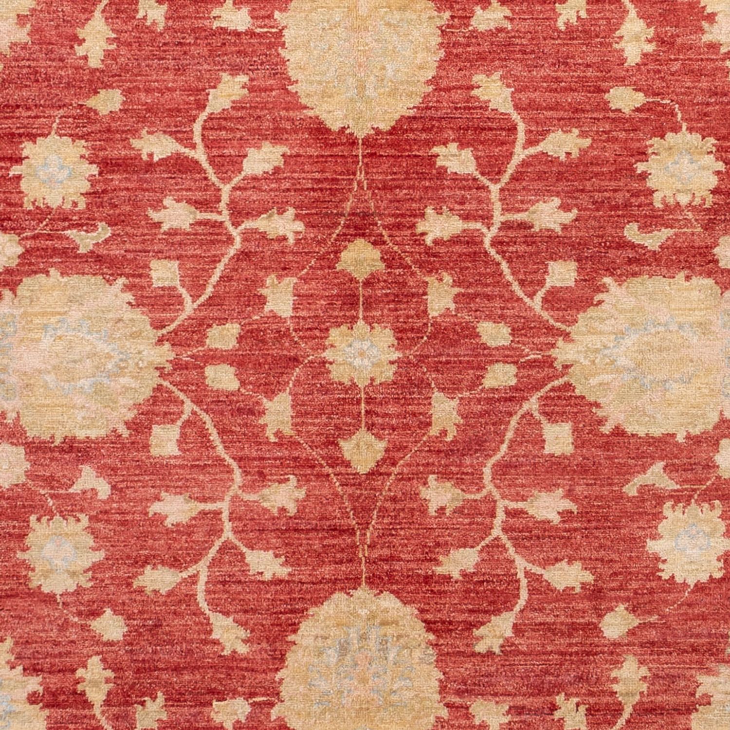 Dywan Zieglera - 291 x 207 cm - czerwony