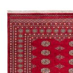 Afgański dywan - Bukhara - 307 x 201 cm - czerwony