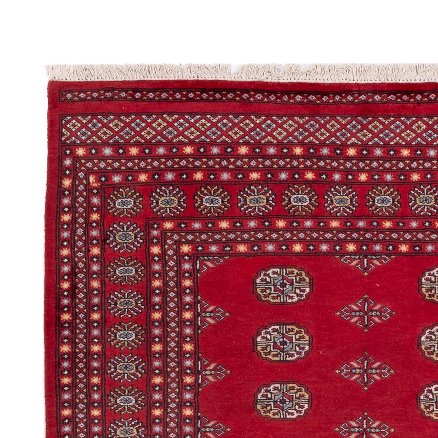 Afghansk matta - Bukhara - 300 x 201 cm - röd