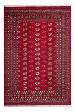 Afgański dywan - Bukhara - 302 x 200 cm - czerwony