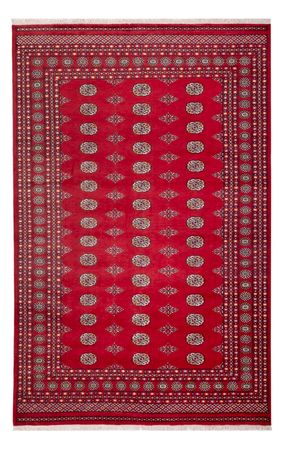 Afgański dywan - Bukhara - 316 x 203 cm - czerwony