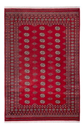 Afgański dywan - Bukhara - 294 x 198 cm - czerwony