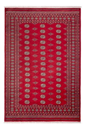 Afghaans tapijt - Bukhara - 304 x 206 cm - rood