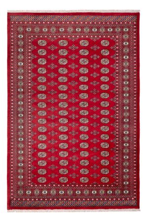 Afghaans tapijt - Bukhara - 313 x 207 cm - rood