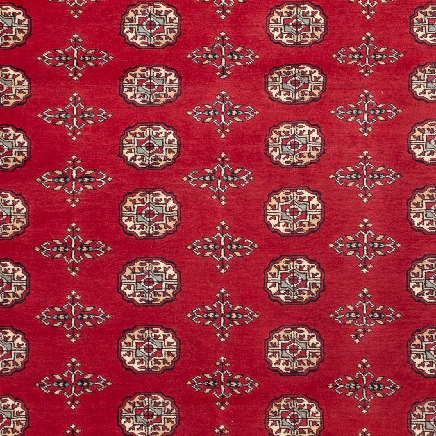 Afgański dywan - Bukhara - 318 x 210 cm - czerwony
