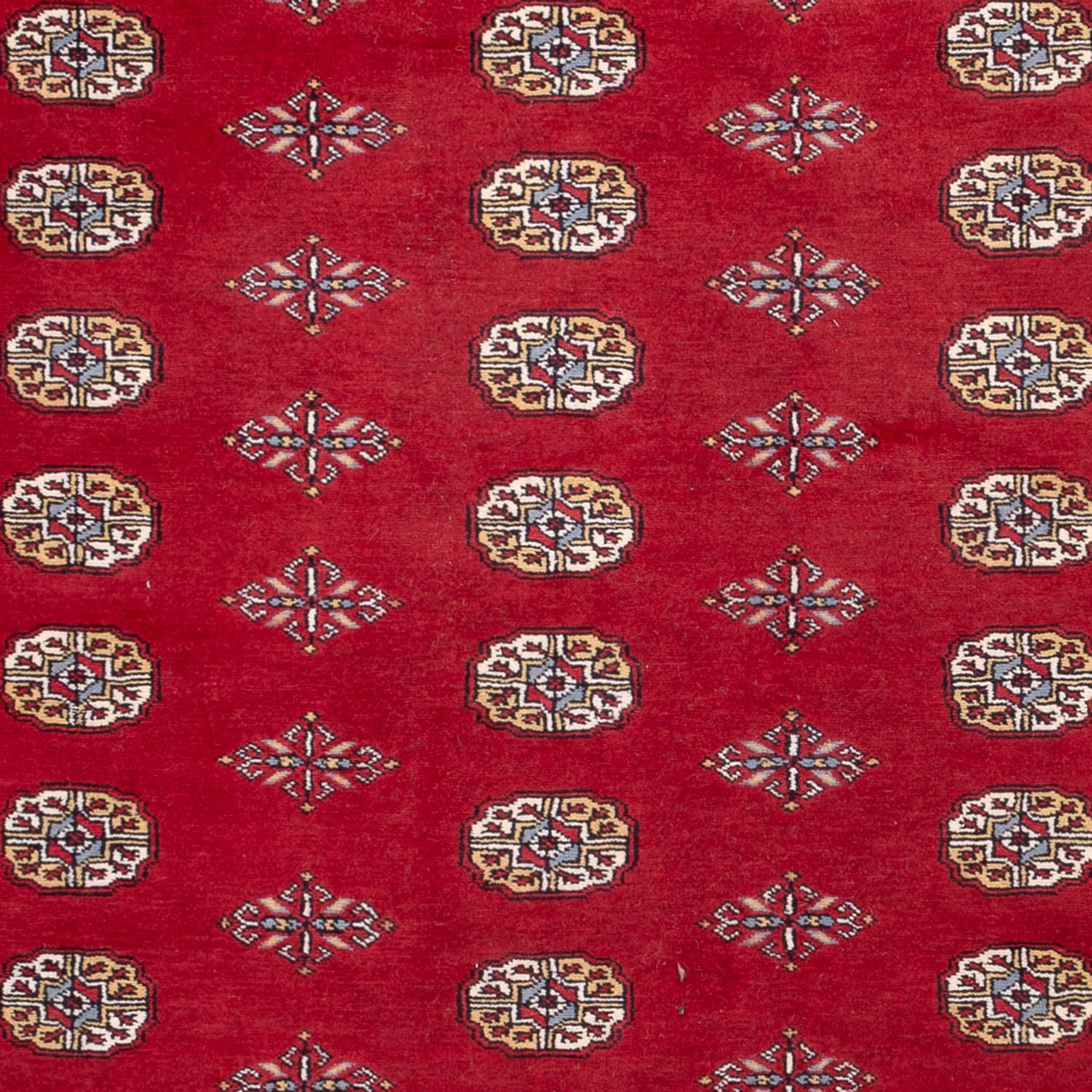Afgański dywan - Bukhara - 308 x 207 cm - czerwony
