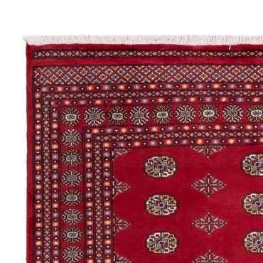Tapete afegão - Bukhara - 306 x 202 cm - vermelho