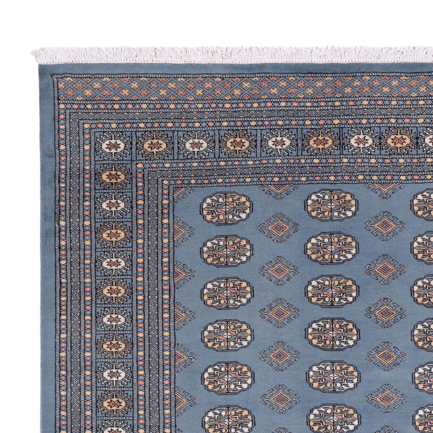 Afgański dywan - Bukhara - 305 x 249 cm - jasnoniebieski