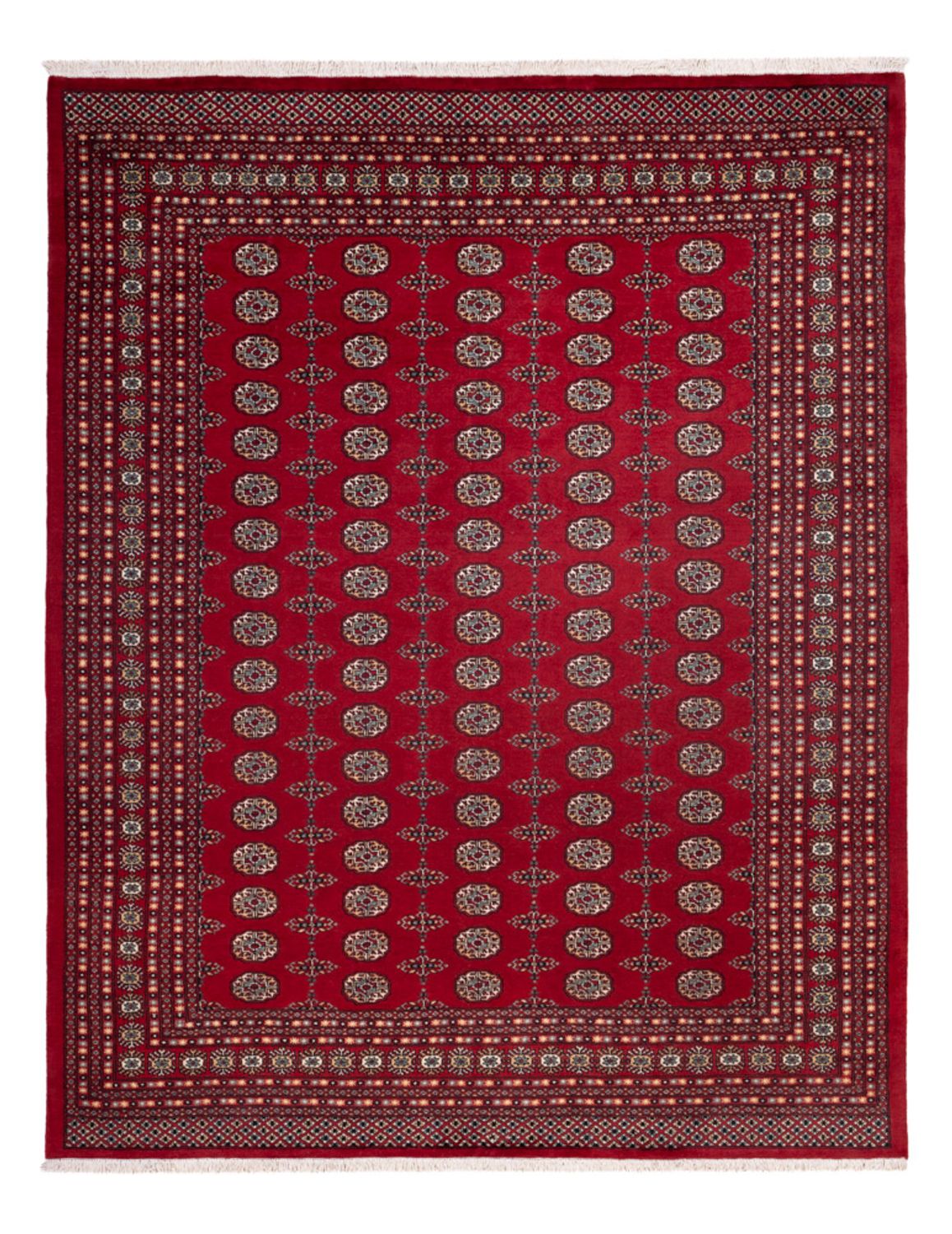 Afgański dywan - Bukhara - 309 x 246 cm - czerwony