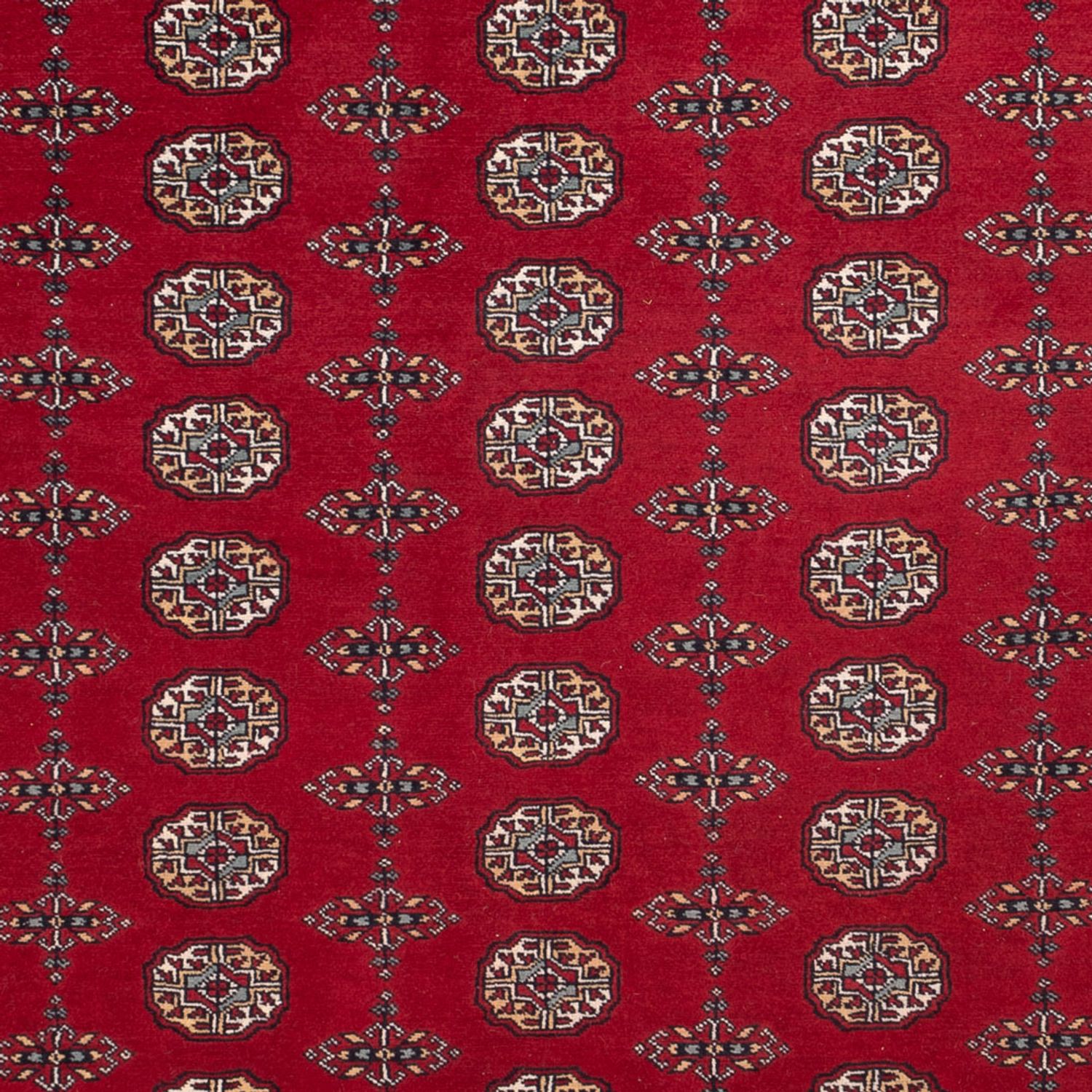 Afgański dywan - Bukhara - 309 x 246 cm - czerwony
