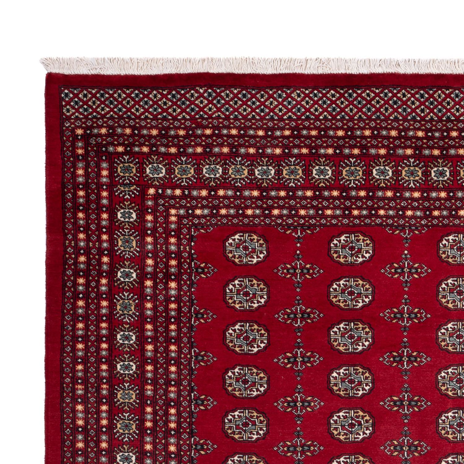 Afgański dywan - Bukhara - 309 x 246 cm - czerwony