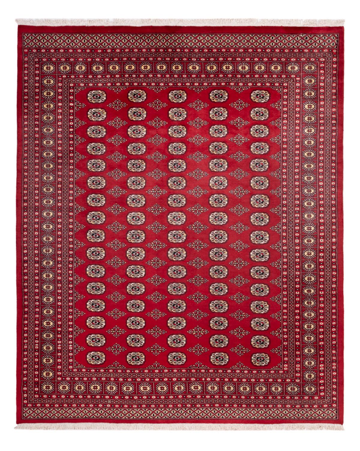 Afghansk teppe - Bukhara - 305 x 244 cm - rød