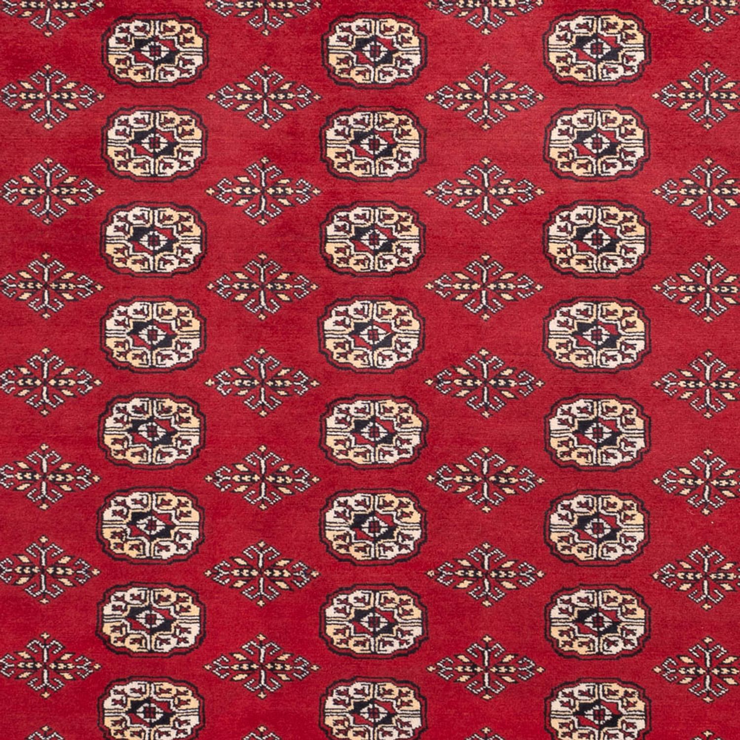 Afghansk teppe - Bukhara - 305 x 244 cm - rød