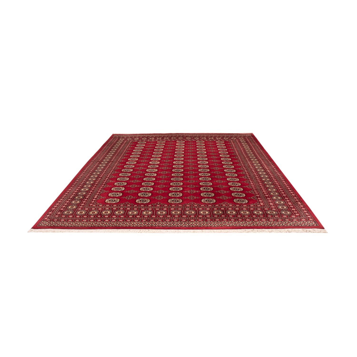Afghansk teppe - Bukhara - 305 x 244 cm - rød