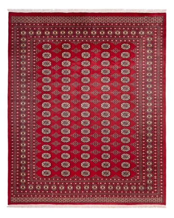 Afghansk teppe - Bukhara - 305 x 244 cm - rød