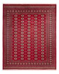 Afghansk teppe - Bukhara - 305 x 244 cm - rød