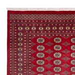 Afghansk teppe - Bukhara - 305 x 244 cm - rød