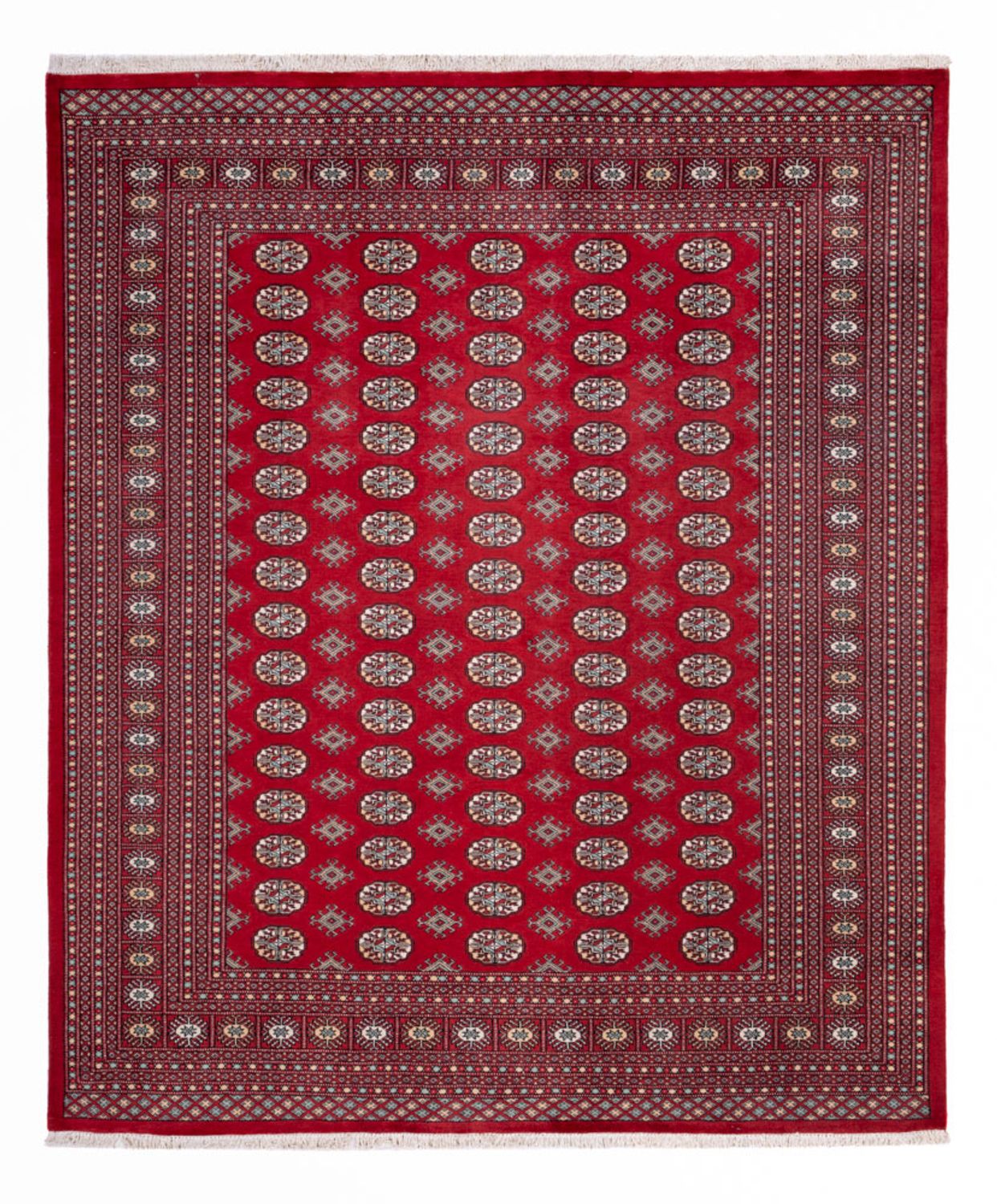 Afghansk teppe - Bukhara - 296 x 250 cm - rød