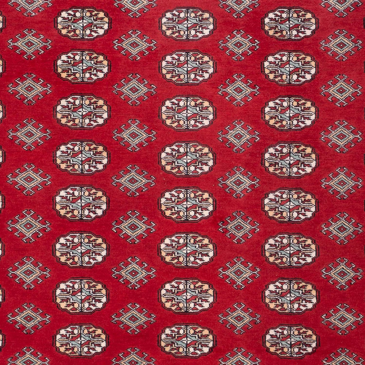 Afghansk teppe - Bukhara - 296 x 250 cm - rød