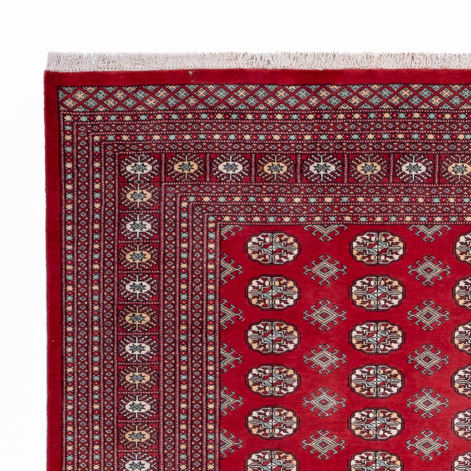 Afghansk teppe - Bukhara - 296 x 250 cm - rød