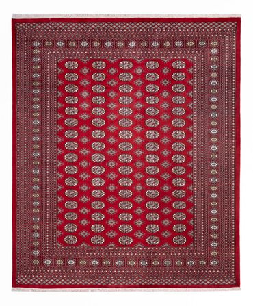 Afghansk teppe - Bukhara - 296 x 250 cm - rød