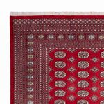 Afghansk teppe - Bukhara - 296 x 250 cm - rød