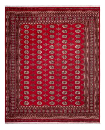 Afghan Teppich - Buchara - 305 x 252 cm - rot