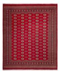 Afghan Teppich - Buchara - 305 x 252 cm - rot