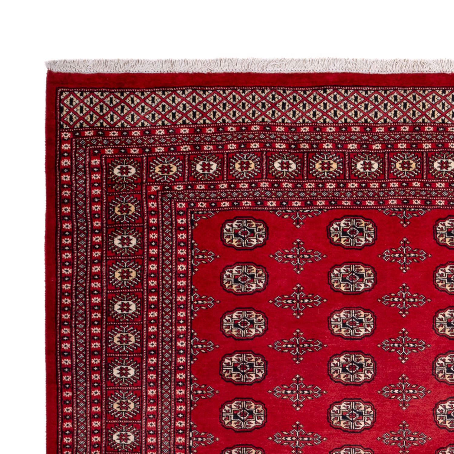Afghansk teppe - Bukhara - 319 x 250 cm - rød