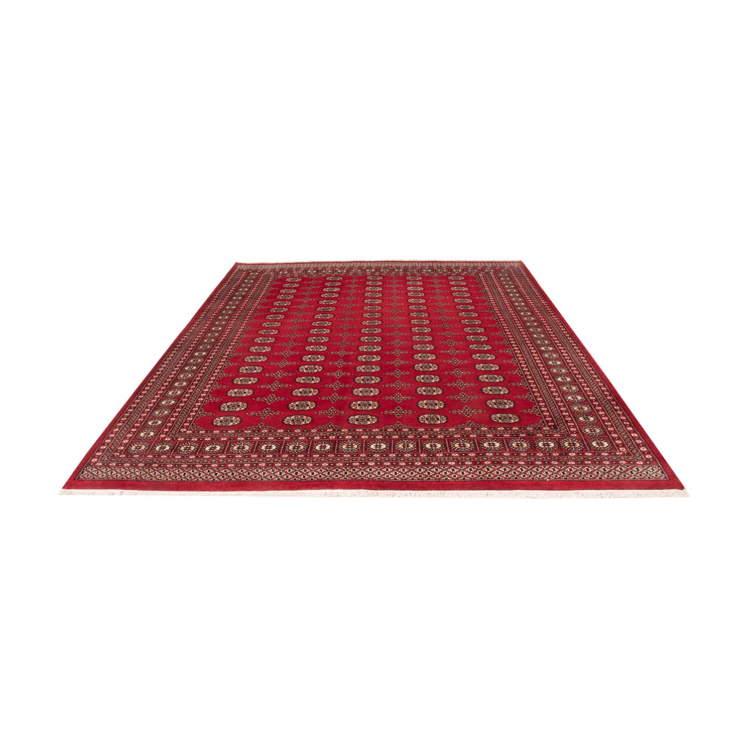 Afghansk teppe - Bukhara - 319 x 250 cm - rød
