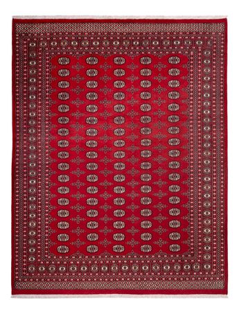 Afghansk teppe - Bukhara - 319 x 250 cm - rød