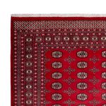 Afghansk teppe - Bukhara - 319 x 250 cm - rød