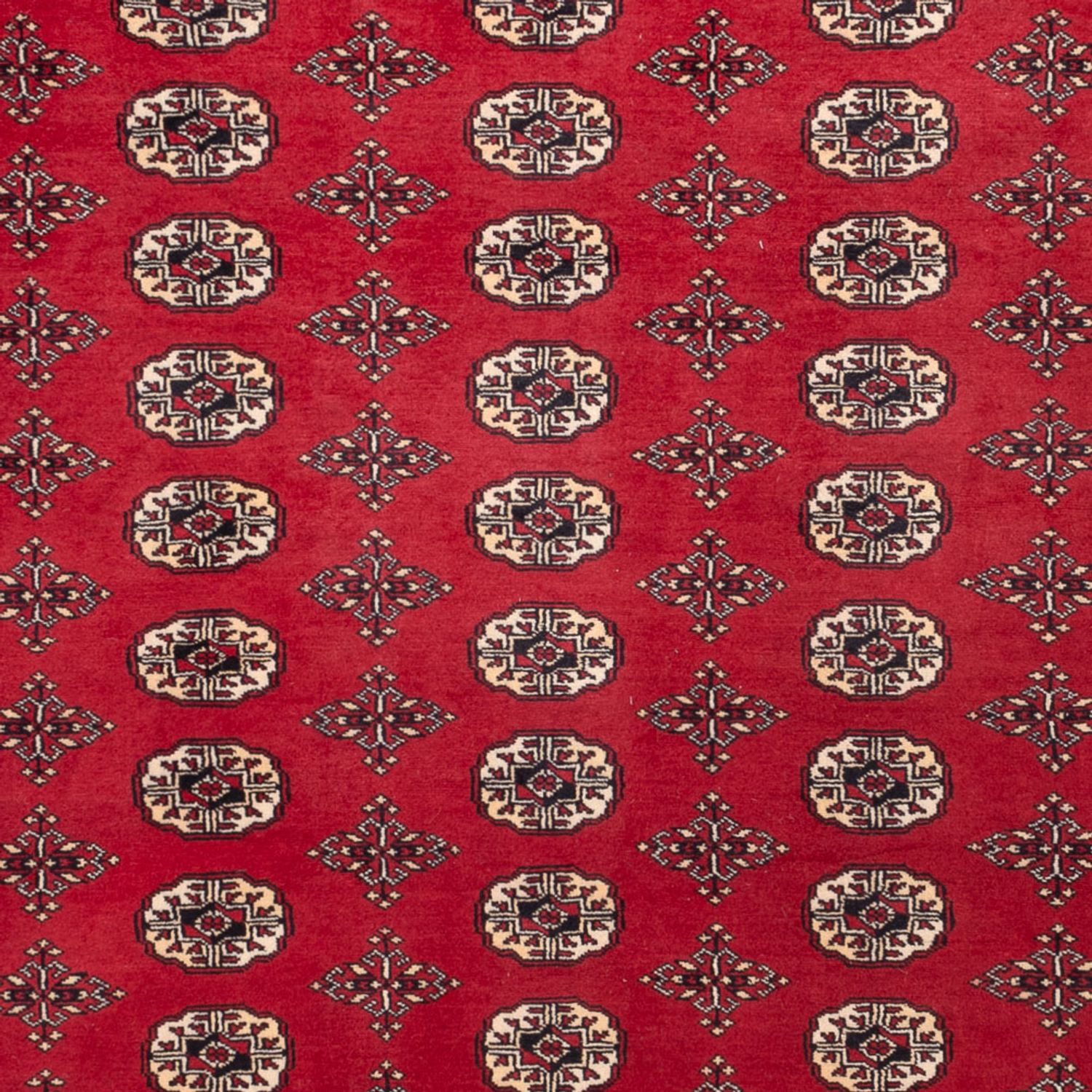 Afghan Teppich - Buchara - 309 x 248 cm - rot