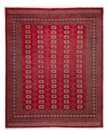 Afghan Teppich - Buchara - 309 x 248 cm - rot