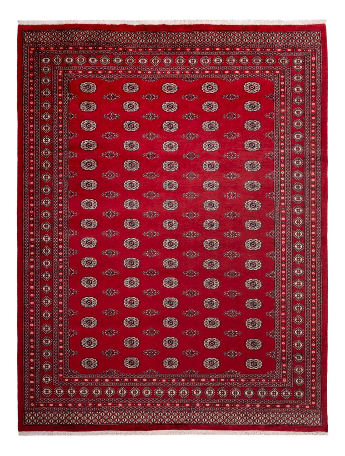 Afghánský koberec - Buchara - 323 x 248 cm - červená