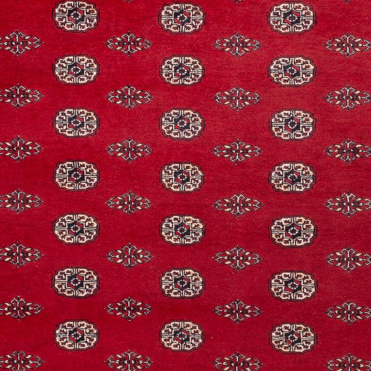 Afghánský koberec - Buchara - 323 x 248 cm - červená