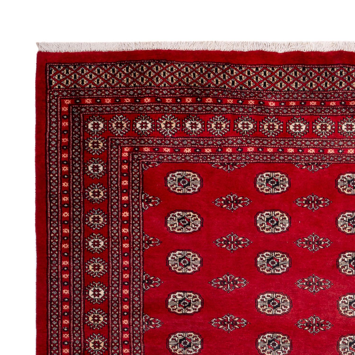 Afghánský koberec - Buchara - 323 x 248 cm - červená