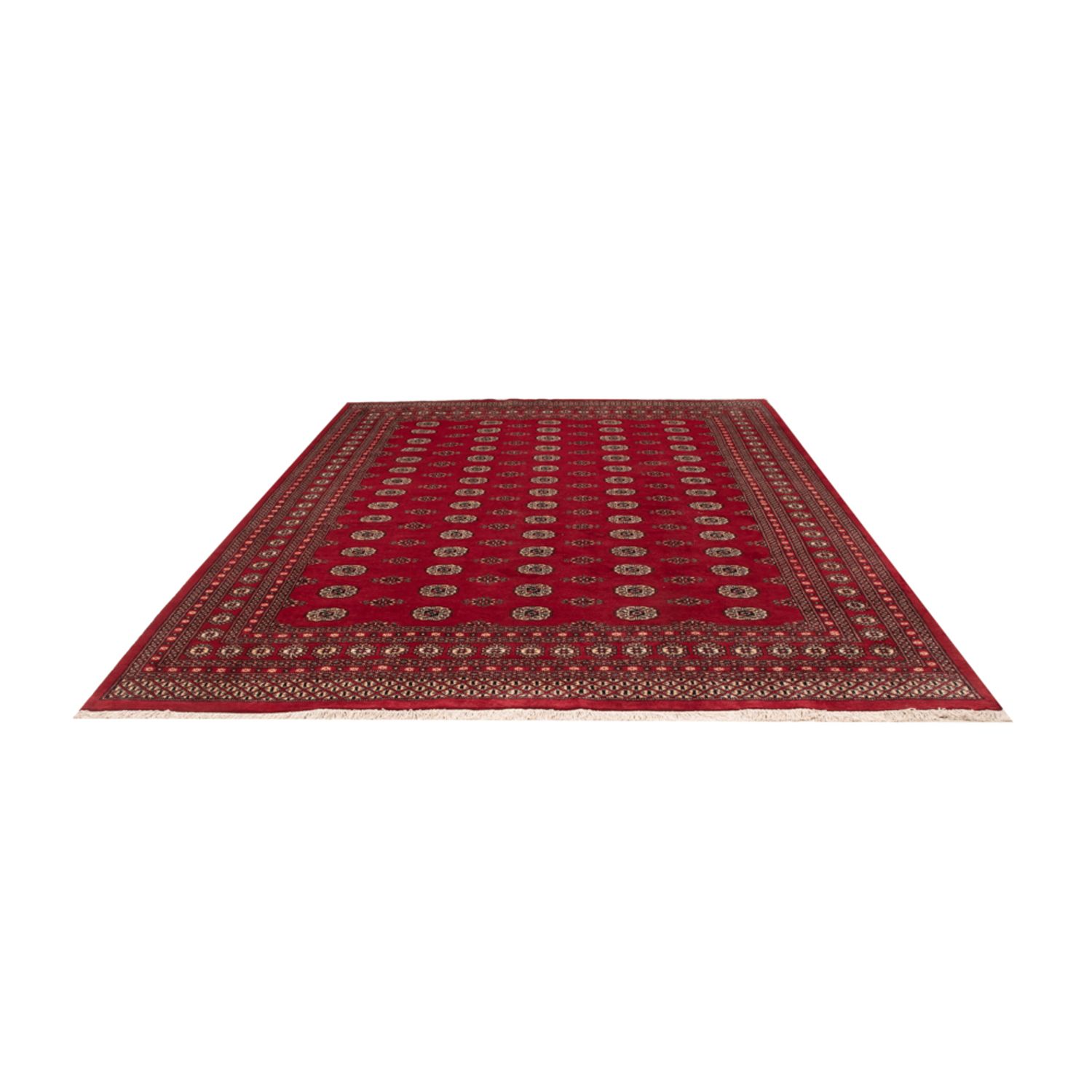 Afghánský koberec - Buchara - 323 x 248 cm - červená
