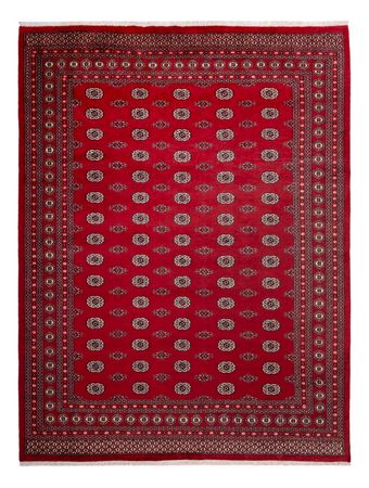 Afghansk teppe - Bukhara - 323 x 248 cm - rød