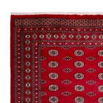 Afghánský koberec - Buchara - 323 x 248 cm - červená