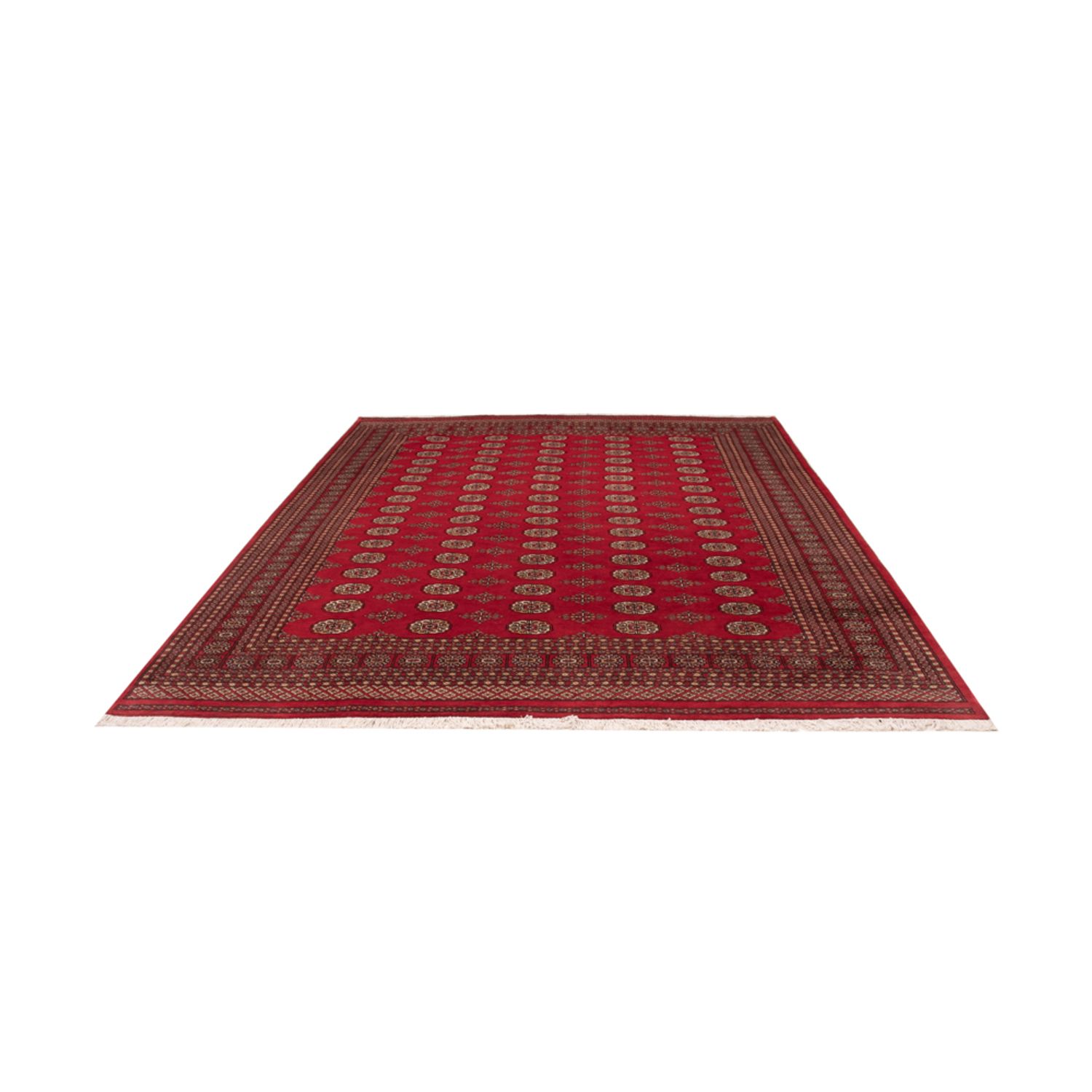 Afghan Teppich - Buchara - 321 x 247 cm - rot
