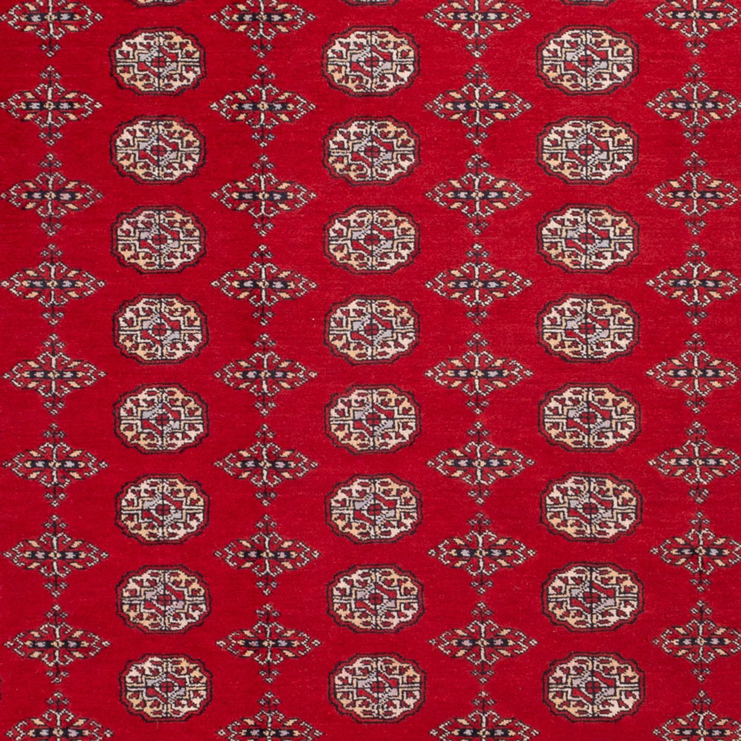 Afghansk teppe - Bukhara - 318 x 247 cm - rød