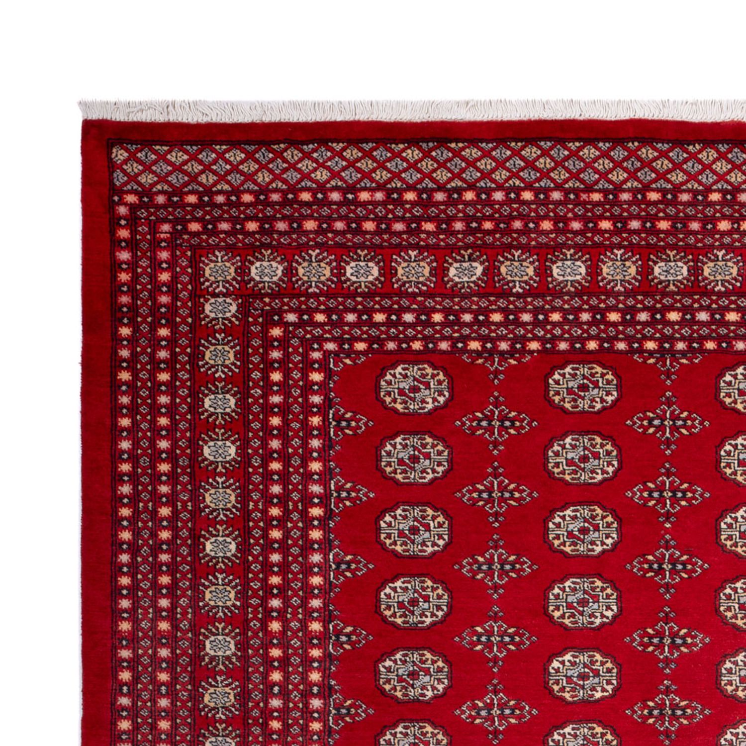 Afghansk teppe - Bukhara - 318 x 247 cm - rød