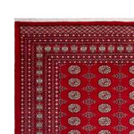 Afghansk teppe - Bukhara - 318 x 247 cm - rød