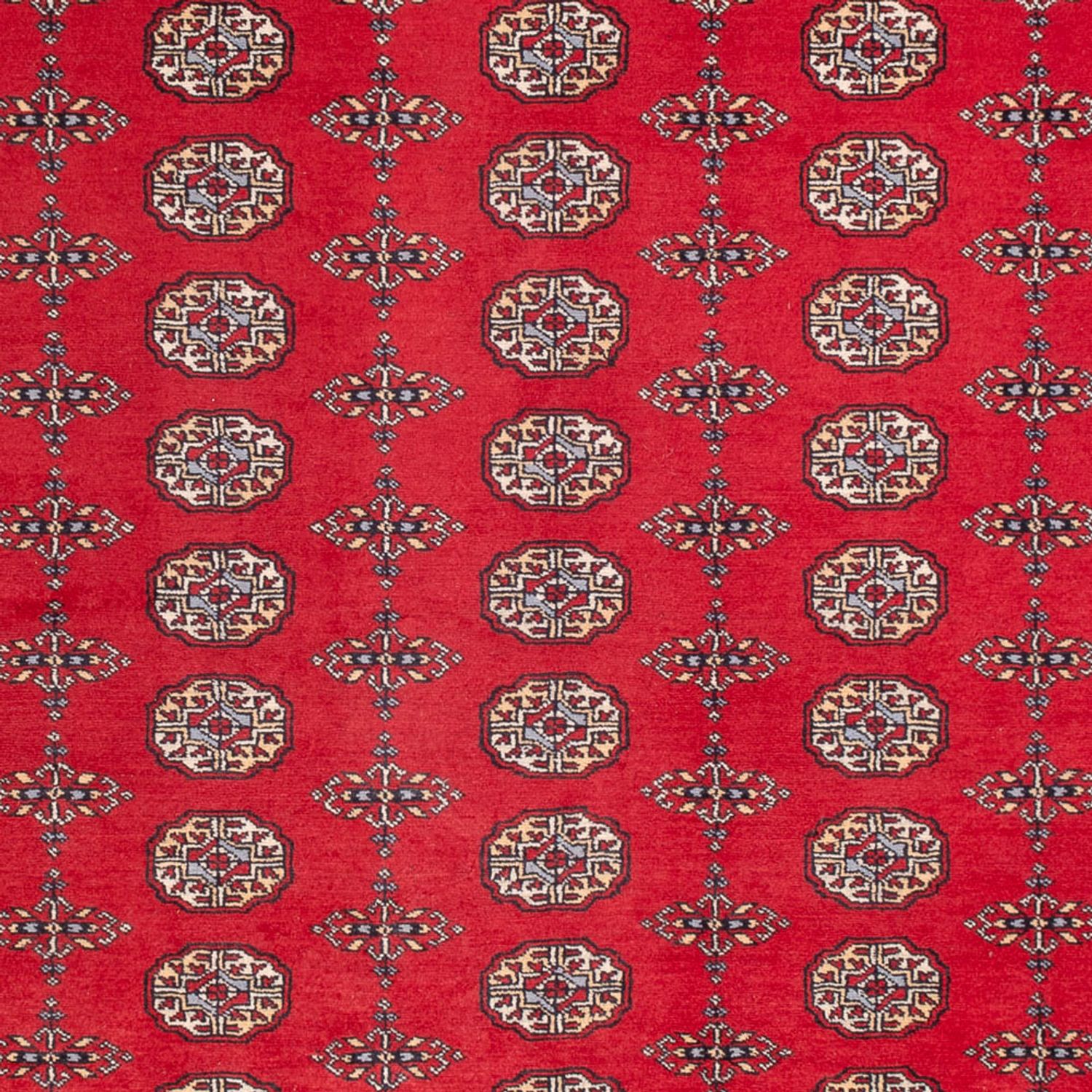 Afghansk teppe - Bukhara - 310 x 250 cm - rød