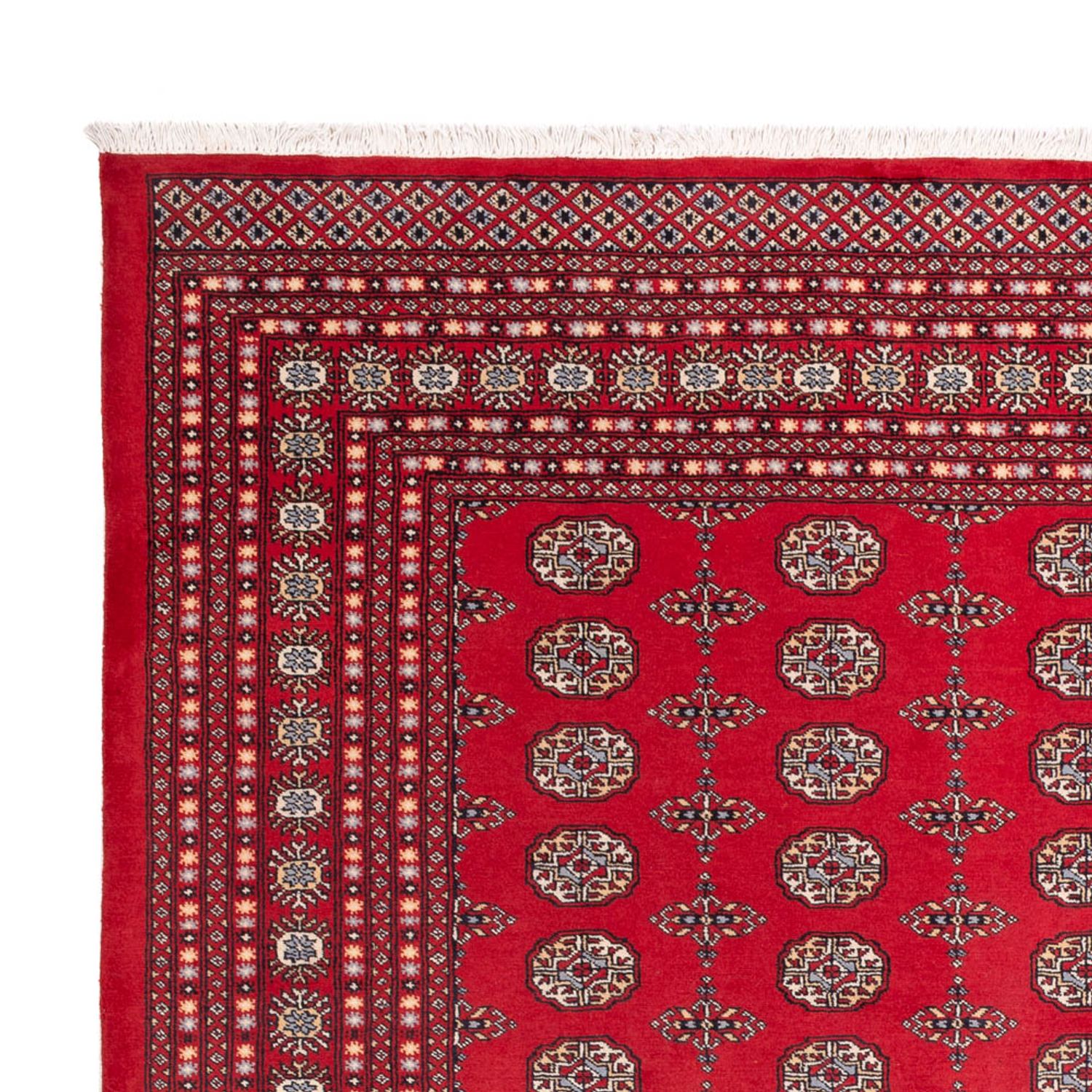 Afghansk teppe - Bukhara - 310 x 250 cm - rød