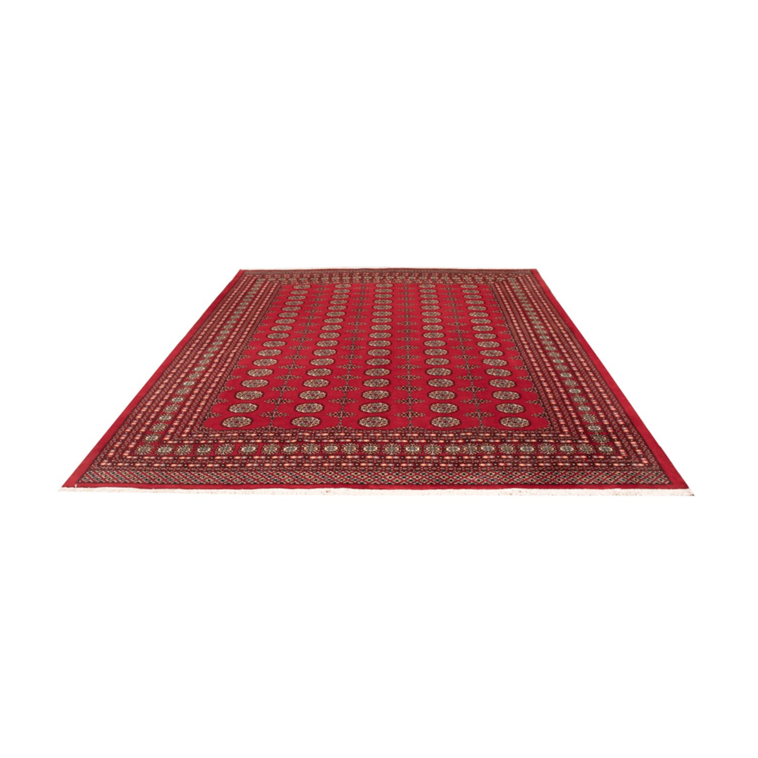 Afghansk teppe - Bukhara - 310 x 250 cm - rød