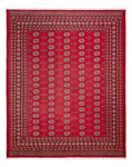 Afghansk teppe - Bukhara - 310 x 250 cm - rød